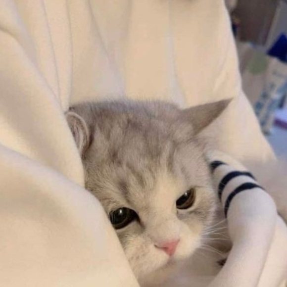 Meet your Posher, Hùng - Picture 1 of 1